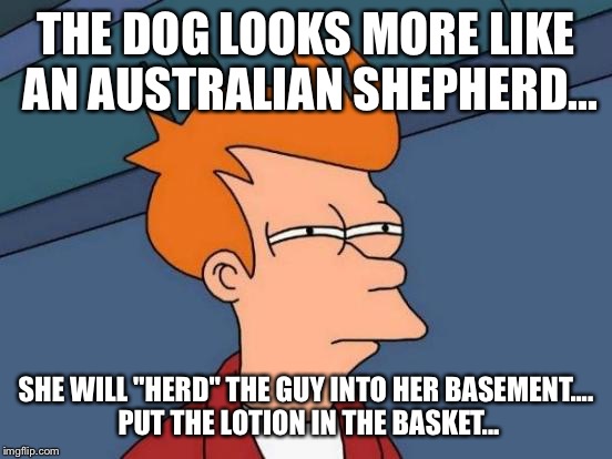 Futurama Fry Meme | THE DOG LOOKS MORE LIKE AN AUSTRALIAN SHEPHERD... SHE WILL "HERD" THE GUY INTO HER BASEMENT.... PUT THE LOTION IN THE BASKET... | image tagged in memes,futurama fry | made w/ Imgflip meme maker