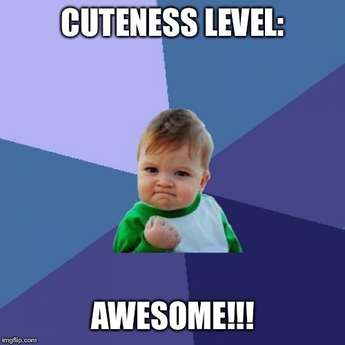 Success Kid Meme | CUTENESS LEVEL: AWESOME!!! | image tagged in memes,success kid | made w/ Imgflip meme maker