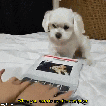 When you learn to use the computer - Imgflip