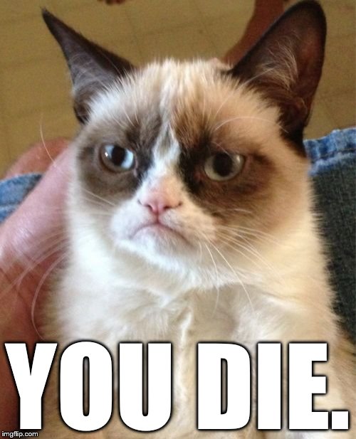 Grumpy Cat Meme | YOU DIE. | image tagged in memes,grumpy cat | made w/ Imgflip meme maker