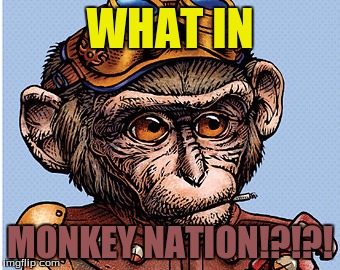 What In Tarnation Week | March 7th to 14th | (A Santadude Event)  | WHAT IN; MONKEY NATION!?!?! | image tagged in memes,funny,what in tarnation,what in tarnation week,santadude,monkey | made w/ Imgflip meme maker