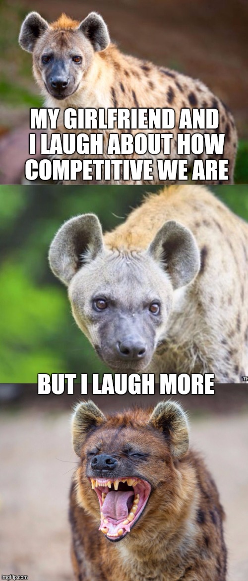 Bad Pun Hyena | MY GIRLFRIEND AND I LAUGH ABOUT HOW COMPETITIVE WE ARE; BUT I LAUGH MORE | image tagged in bad pun hyena | made w/ Imgflip meme maker