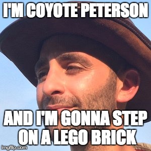 Coyote being a douche | I'M COYOTE PETERSON; AND I'M GONNA STEP ON A LEGO BRICK | image tagged in adventure,douche | made w/ Imgflip meme maker