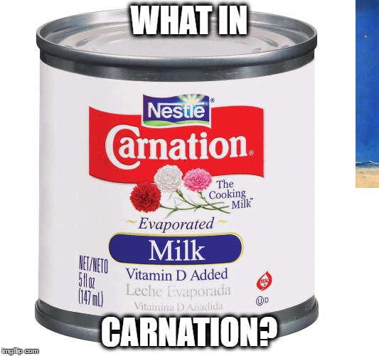 WHAT IN; CARNATION? | image tagged in carnation,what in tarnation,funny memes,memes,funny because it's true | made w/ Imgflip meme maker