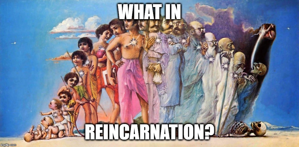 WHAT IN; REINCARNATION? | image tagged in reincarnation,what in tarnation,memes,funny memes,funny because it's true | made w/ Imgflip meme maker
