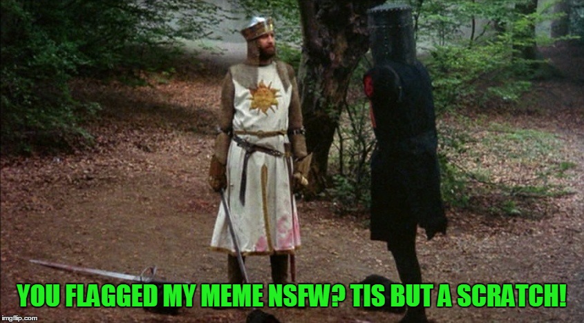 Tis But A Scratch! Monty Python Week - A carpetmom Event - March 12-15 | YOU FLAGGED MY MEME NSFW? TIS BUT A SCRATCH! | image tagged in carpetmom,monty python week,tis but a scratch,nsfw,the black knight always wins,your arms off | made w/ Imgflip meme maker