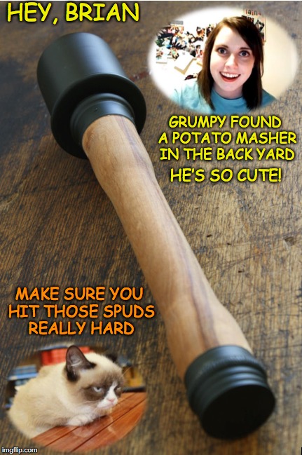 Grumpy Helps With The Dinner | HEY, BRIAN; GRUMPY FOUND A POTATO MASHER IN THE BACK YARD; HE’S SO CUTE! MAKE SURE YOU HIT THOSE SPUDS REALLY HARD | image tagged in grumpy cat | made w/ Imgflip meme maker