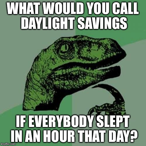 Philosoraptor | WHAT WOULD YOU CALL DAYLIGHT SAVINGS; IF EVERYBODY SLEPT IN AN HOUR THAT DAY? | image tagged in memes,philosoraptor | made w/ Imgflip meme maker