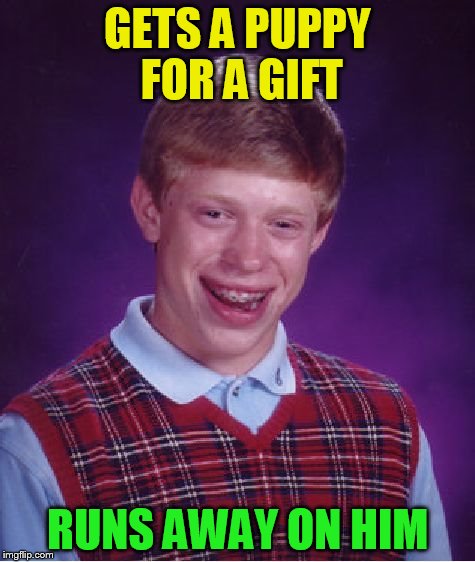 Bad Luck Brian Meme | GETS A PUPPY FOR A GIFT RUNS AWAY ON HIM | image tagged in memes,bad luck brian | made w/ Imgflip meme maker