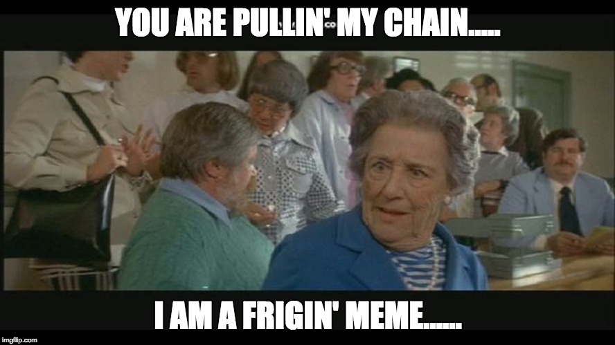 old lady meme | YOU ARE PULLIN' MY CHAIN..... I AM A FRIGIN' MEME...... | image tagged in jaw,old lady,original meme,pulling my chain,jaws town hall scene | made w/ Imgflip meme maker