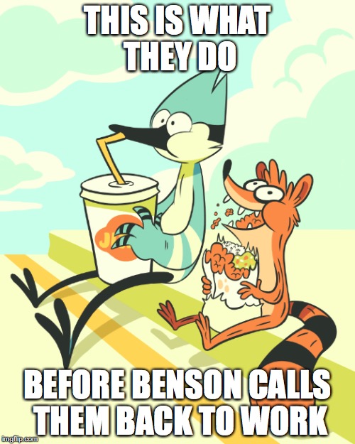 Break Time | THIS IS WHAT THEY DO; BEFORE BENSON CALLS THEM BACK TO WORK | image tagged in break time,regular show,mordecai,rigby,memes | made w/ Imgflip meme maker