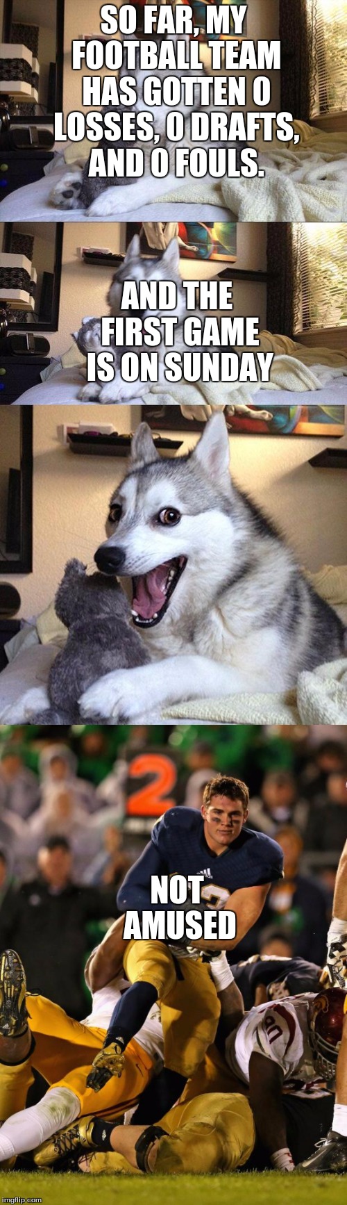 Only some football players can try to get this much humor in, however.. | SO FAR, MY FOOTBALL TEAM HAS GOTTEN 0 LOSSES, 0 DRAFTS, AND 0 FOULS. AND THE FIRST GAME IS ON SUNDAY; NOT AMUSED | image tagged in bad pun dog,photogenic college football player,football amusement | made w/ Imgflip meme maker