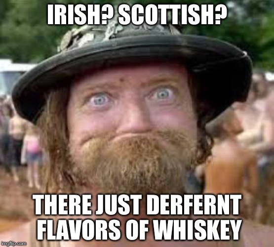 Hillbilly | IRISH? SCOTTISH? THERE JUST DERFERNT FLAVORS OF WHISKEY | image tagged in hillbilly,memes,funny | made w/ Imgflip meme maker
