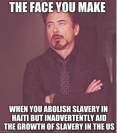 Face You Make Robert Downey Jr Meme | THE FACE YOU MAKE; WHEN YOU ABOLISH SLAVERY IN HAITI BUT INADVERTENTLY AID THE GROWTH OF SLAVERY IN THE US | image tagged in memes,face you make robert downey jr | made w/ Imgflip meme maker