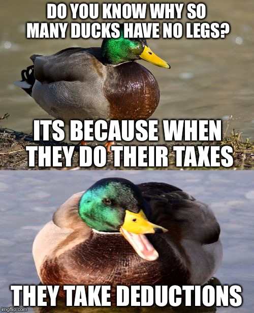 Bad Pun Duck |  DO YOU KNOW WHY SO MANY DUCKS HAVE NO LEGS? ITS BECAUSE WHEN THEY DO THEIR TAXES; THEY TAKE DEDUCTIONS | image tagged in bad pun duck,memes,funny,bad pun,bad puns,animal meme | made w/ Imgflip meme maker