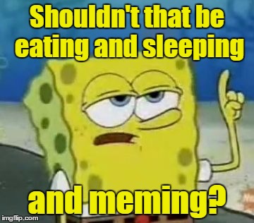 Shouldn't that be eating and sleeping and meming? | made w/ Imgflip meme maker