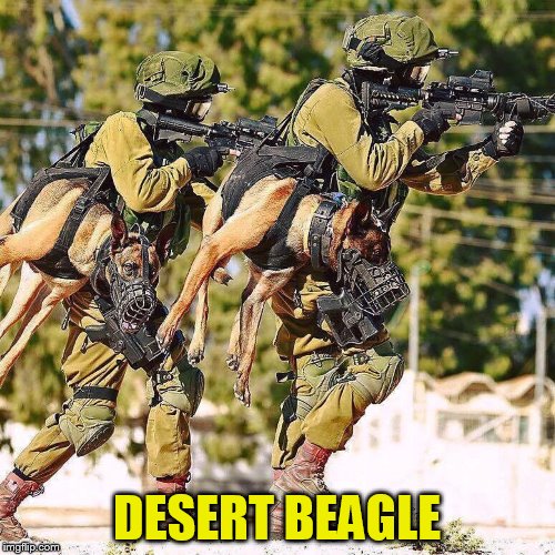 DESERT BEAGLE | made w/ Imgflip meme maker