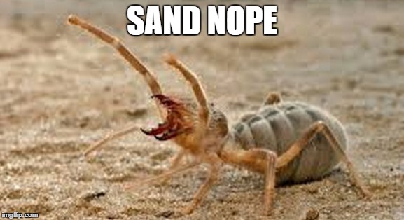 SAND NOPE | made w/ Imgflip meme maker