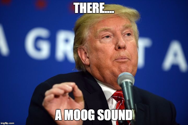 One Does Not Simply | THERE.... A MOOG SOUND | image tagged in one does not simply | made w/ Imgflip meme maker