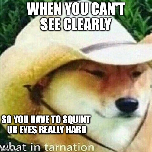 what in tarnation | WHEN YOU CAN'T SEE CLEARLY; SO YOU HAVE TO SQUINT UR EYES REALLY HARD | image tagged in what in tarnation | made w/ Imgflip meme maker