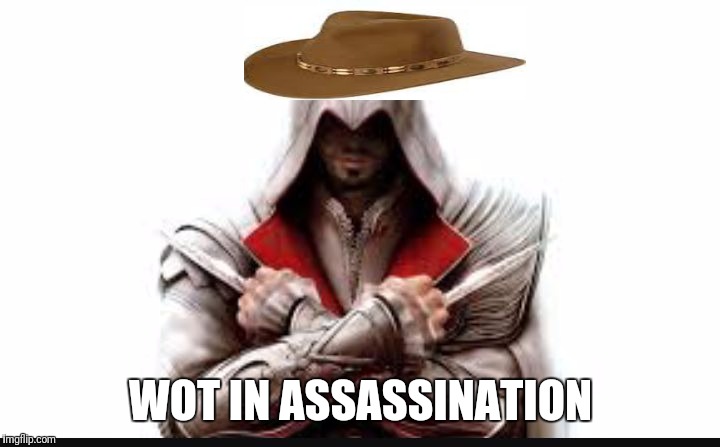 Assassins creed | WOT IN ASSASSINATION | image tagged in assassins creed | made w/ Imgflip meme maker