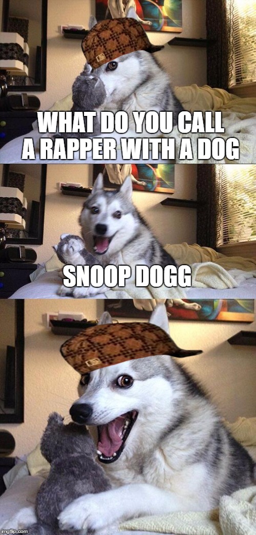 Bad Pun Dog Meme | WHAT DO YOU CALL A RAPPER WITH A DOG; SNOOP DOGG | image tagged in memes,bad pun dog,scumbag | made w/ Imgflip meme maker