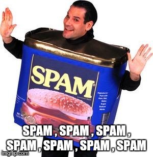 SPAM , SPAM , SPAM , SPAM , SPAM , SPAM , SPAM | image tagged in spam man | made w/ Imgflip meme maker