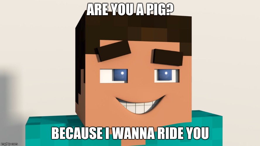Steve (Minecraft) | ARE YOU A PIG? BECAUSE I WANNA RIDE YOU | image tagged in steve minecraft | made w/ Imgflip meme maker
