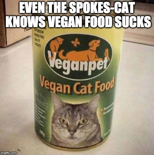 Why are vegans a thing? | EVEN THE SPOKES-CAT KNOWS VEGAN FOOD SUCKS | image tagged in vegan cat food,vegan,bacon,cat | made w/ Imgflip meme maker