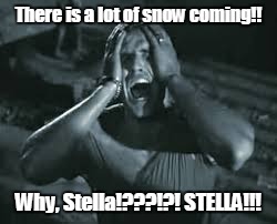 STELLA | There is a lot of snow coming!! Why, Stella!???!?! STELLA!!! | image tagged in stella,brando,scream | made w/ Imgflip meme maker