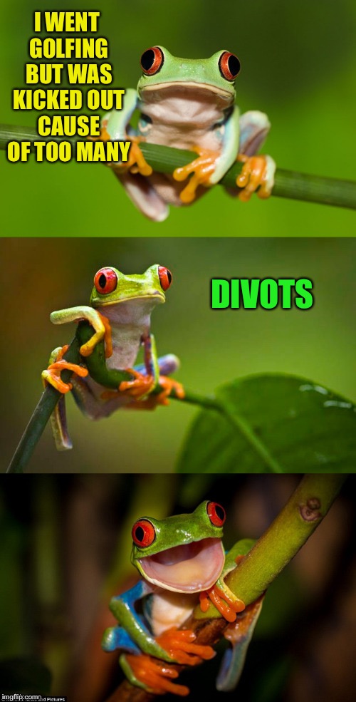 More frog puns | I WENT GOLFING BUT WAS KICKED OUT CAUSE OF TOO MANY; DIVOTS | image tagged in frog puns,memes | made w/ Imgflip meme maker