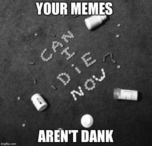 Can I die now | YOUR MEMES; AREN'T DANK | image tagged in memes | made w/ Imgflip meme maker