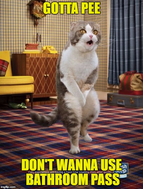 Gotta Go Cat Meme | GOTTA PEE; DON'T WANNA USE BATHROOM PASS | image tagged in memes,gotta go cat | made w/ Imgflip meme maker