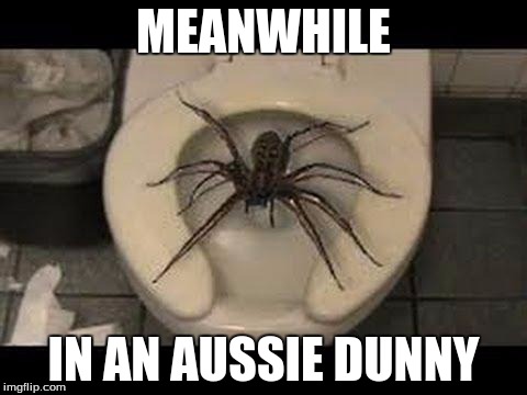 spider toilet | MEANWHILE; IN AN AUSSIE DUNNY | image tagged in spider toilet | made w/ Imgflip meme maker