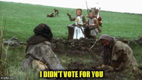 I DIDN'T VOTE FOR YOU | made w/ Imgflip meme maker