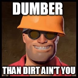 Engineer TF2 | DUMBER; THAN DIRT AIN'T YOU | image tagged in engineer tf2 | made w/ Imgflip meme maker
