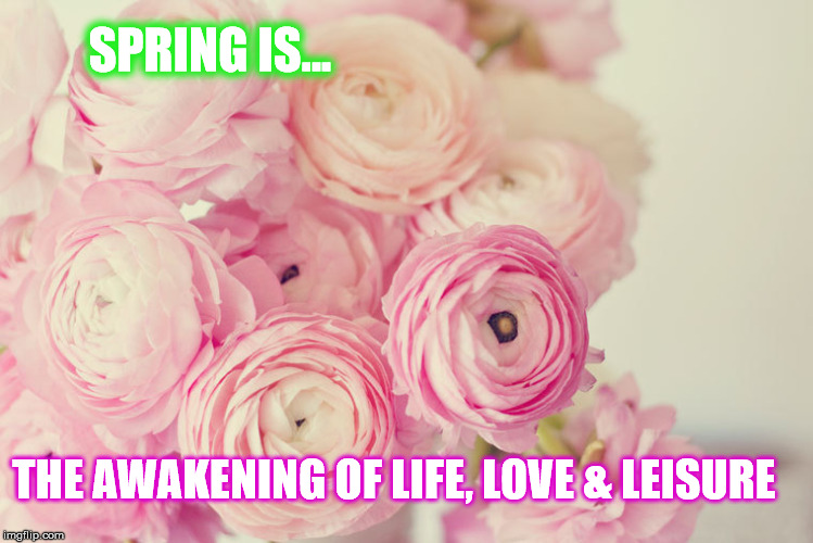 Spring is in the Air | SPRING IS... THE AWAKENING OF LIFE, LOVE & LEISURE | image tagged in spring is in the air | made w/ Imgflip meme maker