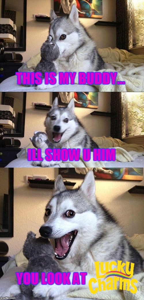 Bad Pun Dog | THIS IS MY BUDDY... ILL SHOW U HIM; YOU LOOK AT | image tagged in memes,bad pun dog | made w/ Imgflip meme maker