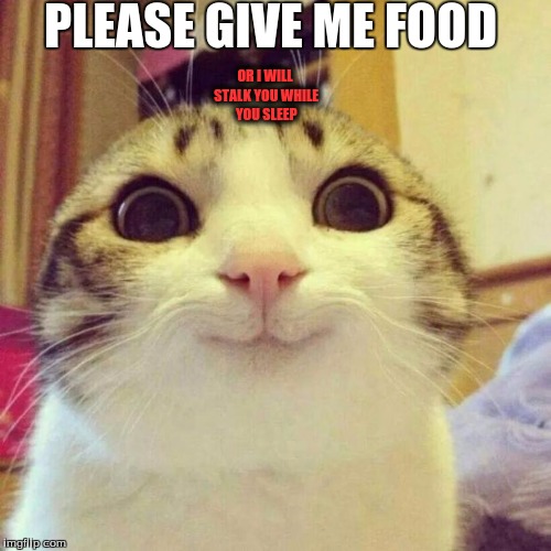 Smiling Cat |  PLEASE GIVE ME FOOD; OR I WILL STALK YOU WHILE YOU SLEEP | image tagged in memes,smiling cat | made w/ Imgflip meme maker