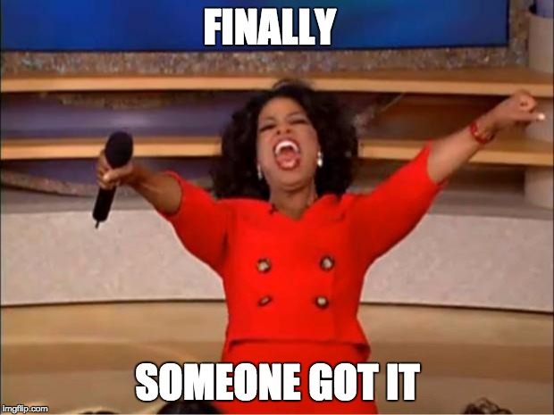 Oprah You Get A Meme | FINALLY SOMEONE GOT IT | image tagged in memes,oprah you get a | made w/ Imgflip meme maker