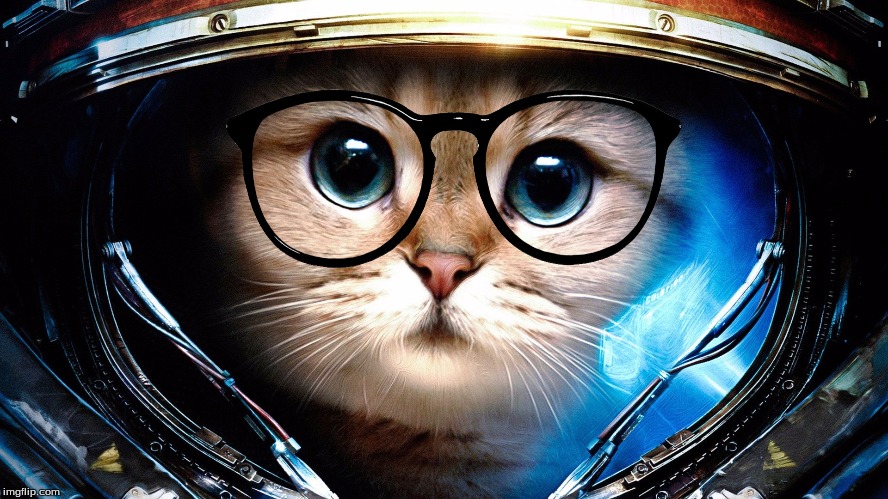 Space cat | image tagged in cats | made w/ Imgflip meme maker