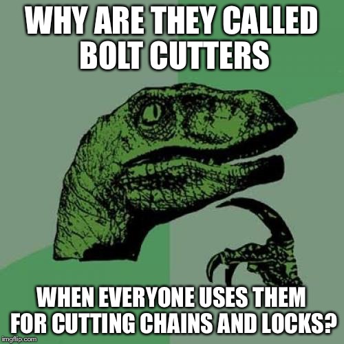 Movies, TV, Real Life....everywhere! | WHY ARE THEY CALLED BOLT CUTTERS; WHEN EVERYONE USES THEM FOR CUTTING CHAINS AND LOCKS? | image tagged in memes,philosoraptor | made w/ Imgflip meme maker