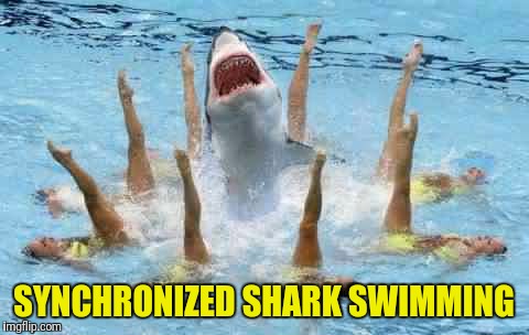 SYNCHRONIZED SHARK SWIMMING | made w/ Imgflip meme maker