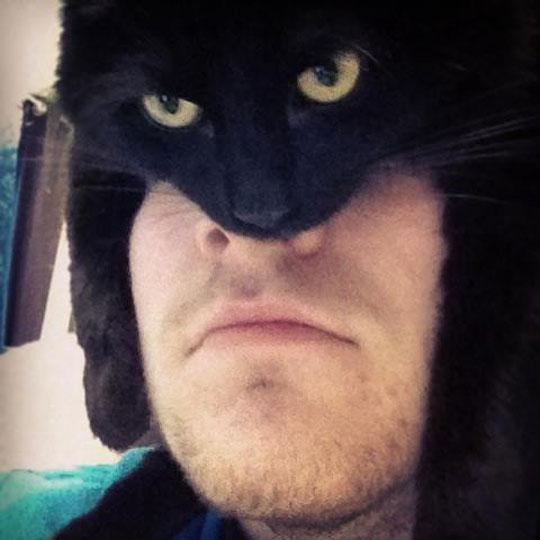 Catman Blank Meme Template