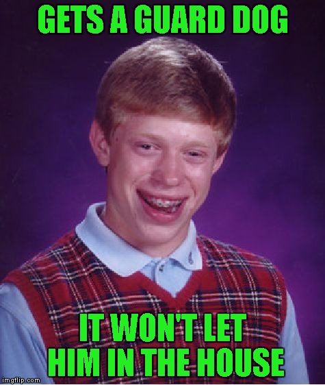 Bad Luck Brian Meme | GETS A GUARD DOG IT WON'T LET HIM IN THE HOUSE | image tagged in memes,bad luck brian | made w/ Imgflip meme maker