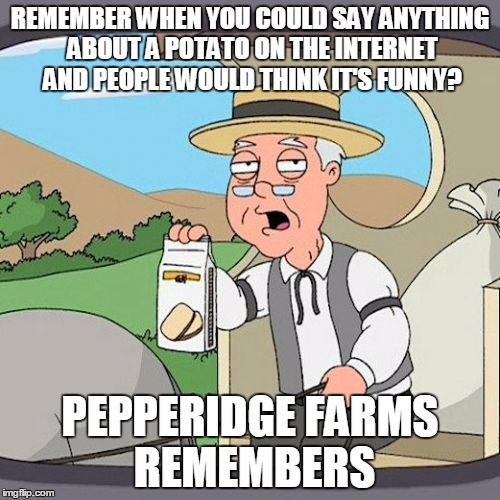 Before memes | REMEMBER WHEN YOU COULD SAY ANYTHING ABOUT A POTATO ON THE INTERNET AND PEOPLE WOULD THINK IT'S FUNNY? PEPPERIDGE FARMS REMEMBERS | image tagged in memes,pepperidge farm remembers | made w/ Imgflip meme maker