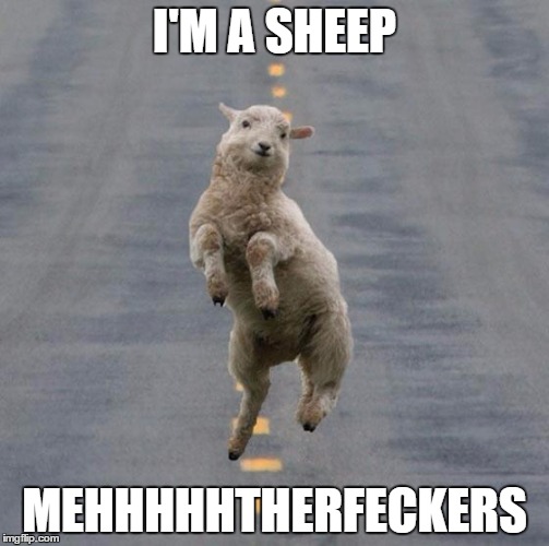 Jumping Sheep | I'M A SHEEP; MEHHHHHTHERFECKERS | image tagged in jumping sheep | made w/ Imgflip meme maker