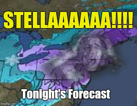 A Snowstorm Named Desire | STELLAAAAAA!!!! Tonight's Forecast | image tagged in snow,stella,storm | made w/ Imgflip meme maker