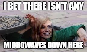 kellyanne | I BET THERE ISN'T ANY; MICROWAVES DOWN HERE | image tagged in microwave | made w/ Imgflip meme maker