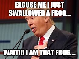 Trump | EXCUSE ME I JUST SWALLOWED A FROG.... WAIT!!! I AM THAT FROG.... | image tagged in trump meme | made w/ Imgflip meme maker